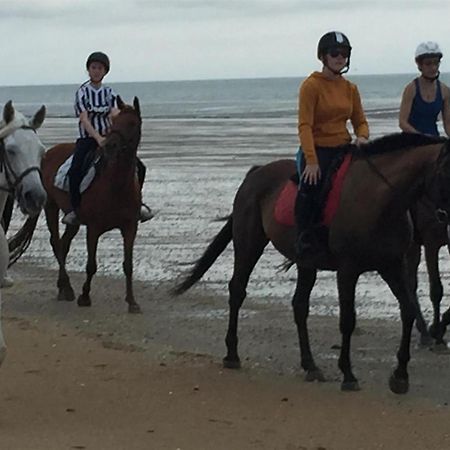 Decouverte D'Un Haras Proche Du Mont St Michel Hambye ภายนอก รูปภาพ