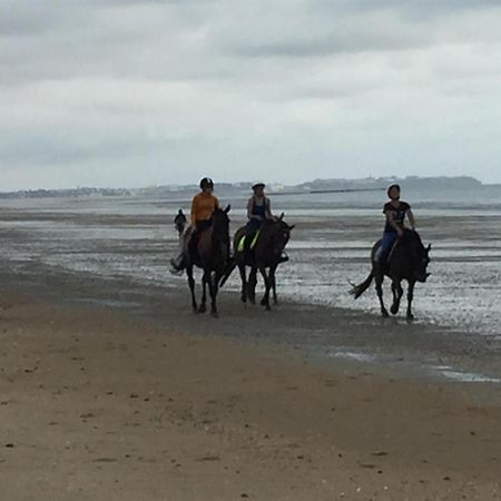 Decouverte D'Un Haras Proche Du Mont St Michel Hambye ภายนอก รูปภาพ