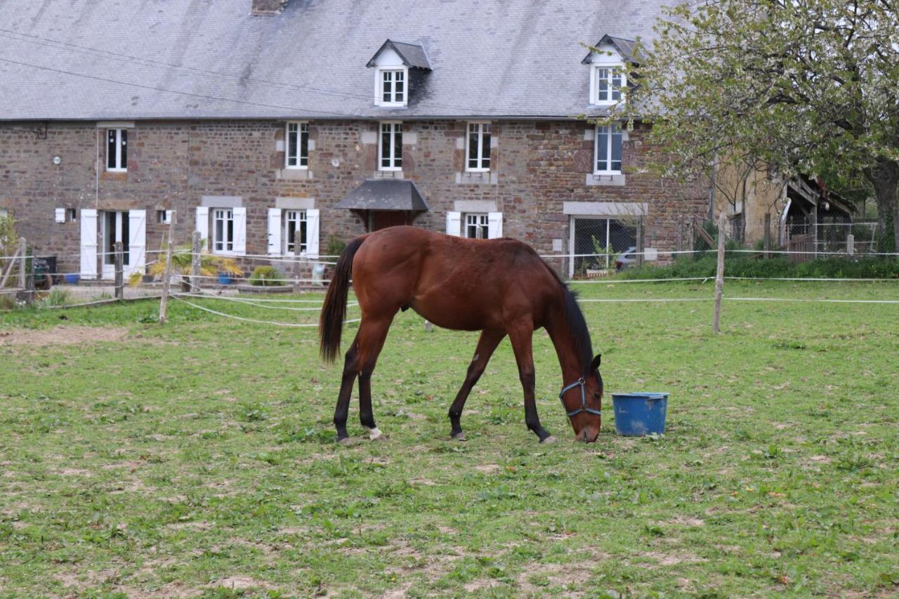 Decouverte D'Un Haras Proche Du Mont St Michel Hambye ภายนอก รูปภาพ