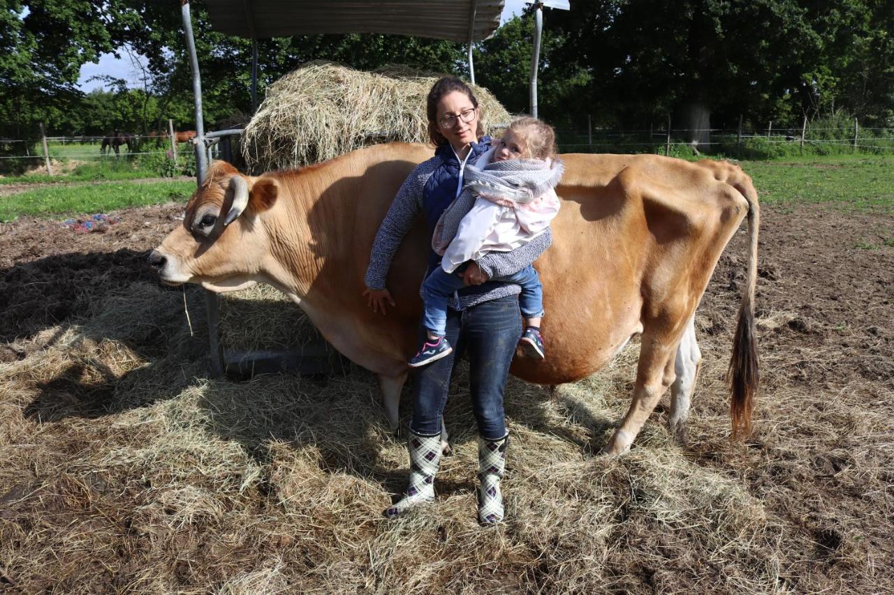 Decouverte D'Un Haras Proche Du Mont St Michel Hambye ภายนอก รูปภาพ