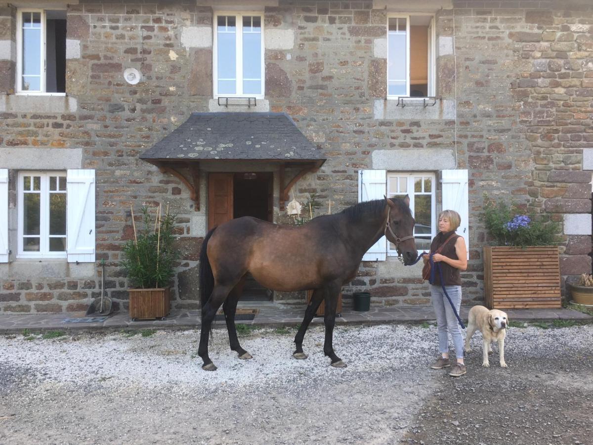 Decouverte D'Un Haras Proche Du Mont St Michel Hambye ภายนอก รูปภาพ