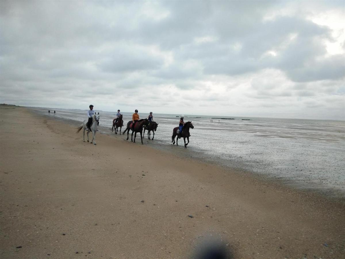 Decouverte D'Un Haras Proche Du Mont St Michel Hambye ภายนอก รูปภาพ