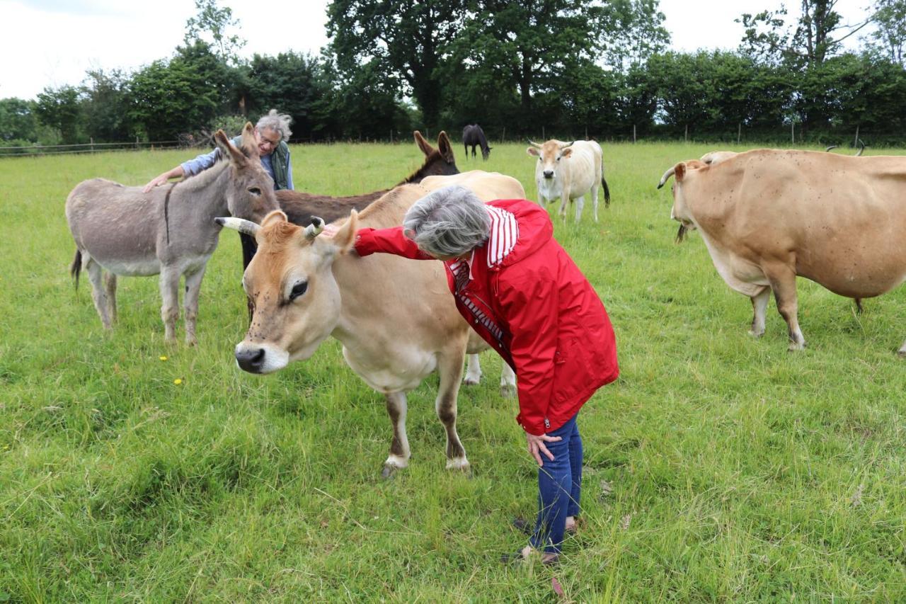 Decouverte D'Un Haras Proche Du Mont St Michel Hambye ภายนอก รูปภาพ