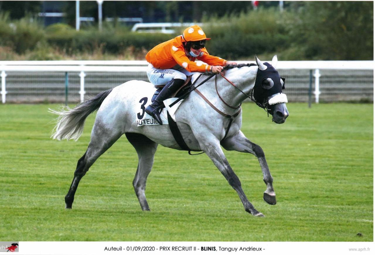 Decouverte D'Un Haras Proche Du Mont St Michel Hambye ภายนอก รูปภาพ
