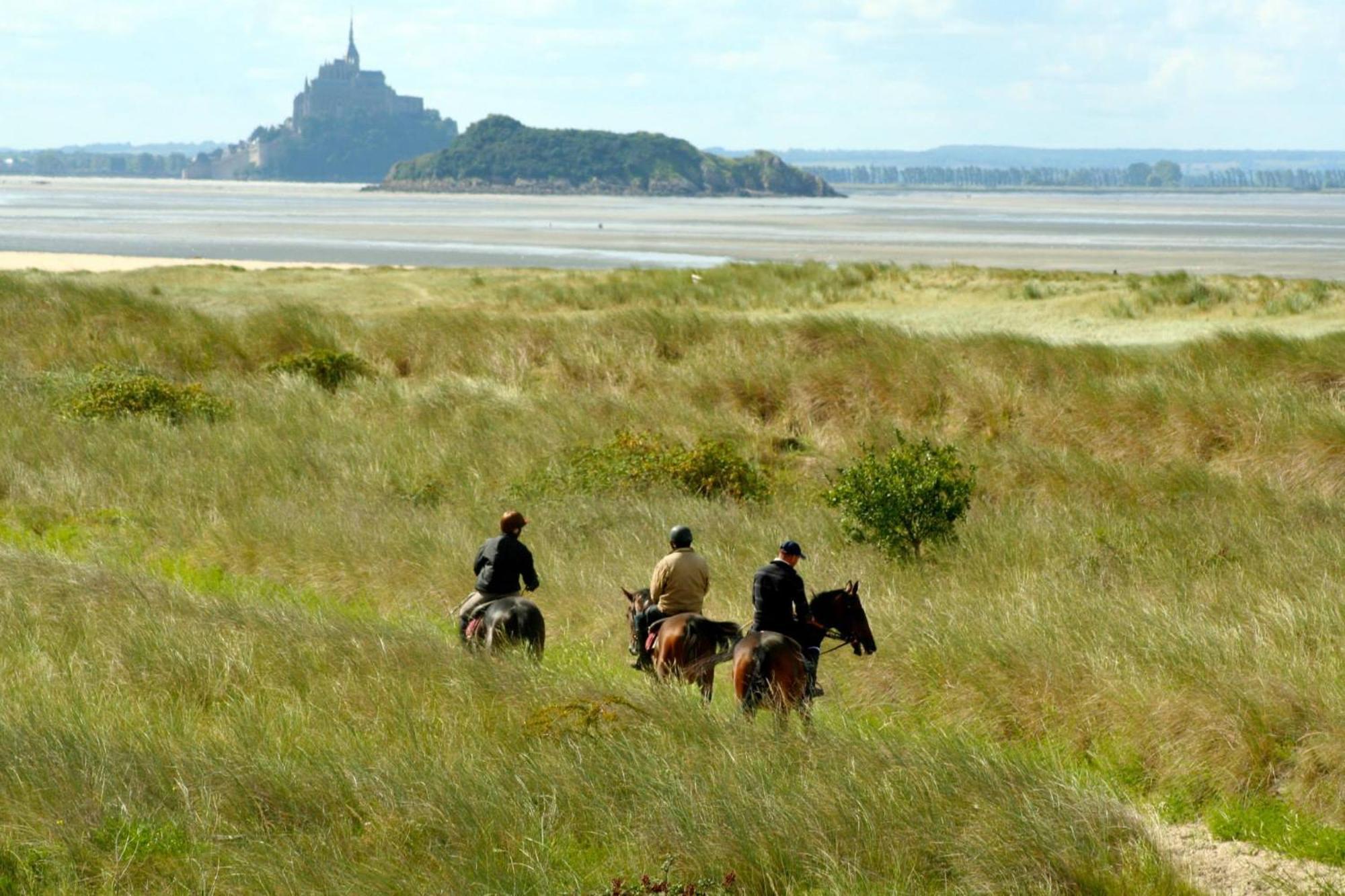 Decouverte D'Un Haras Proche Du Mont St Michel Hambye ภายนอก รูปภาพ