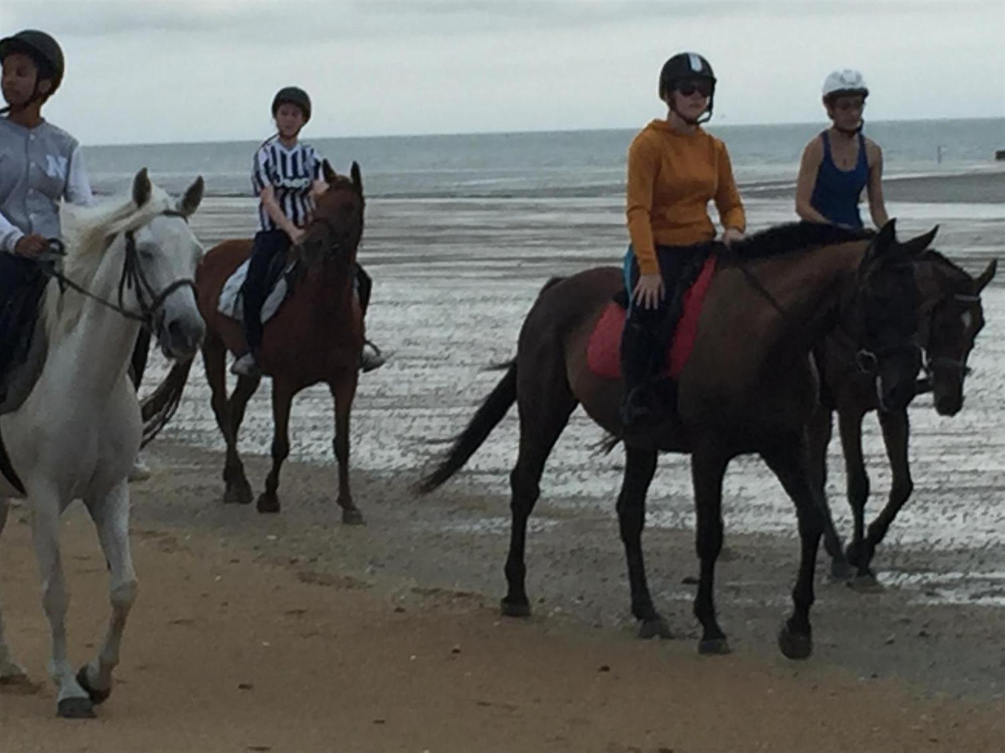 Decouverte D'Un Haras Proche Du Mont St Michel Hambye ภายนอก รูปภาพ