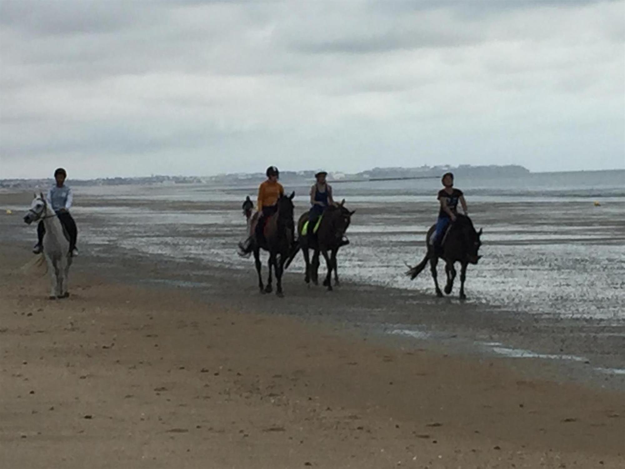 Decouverte D'Un Haras Proche Du Mont St Michel Hambye ภายนอก รูปภาพ