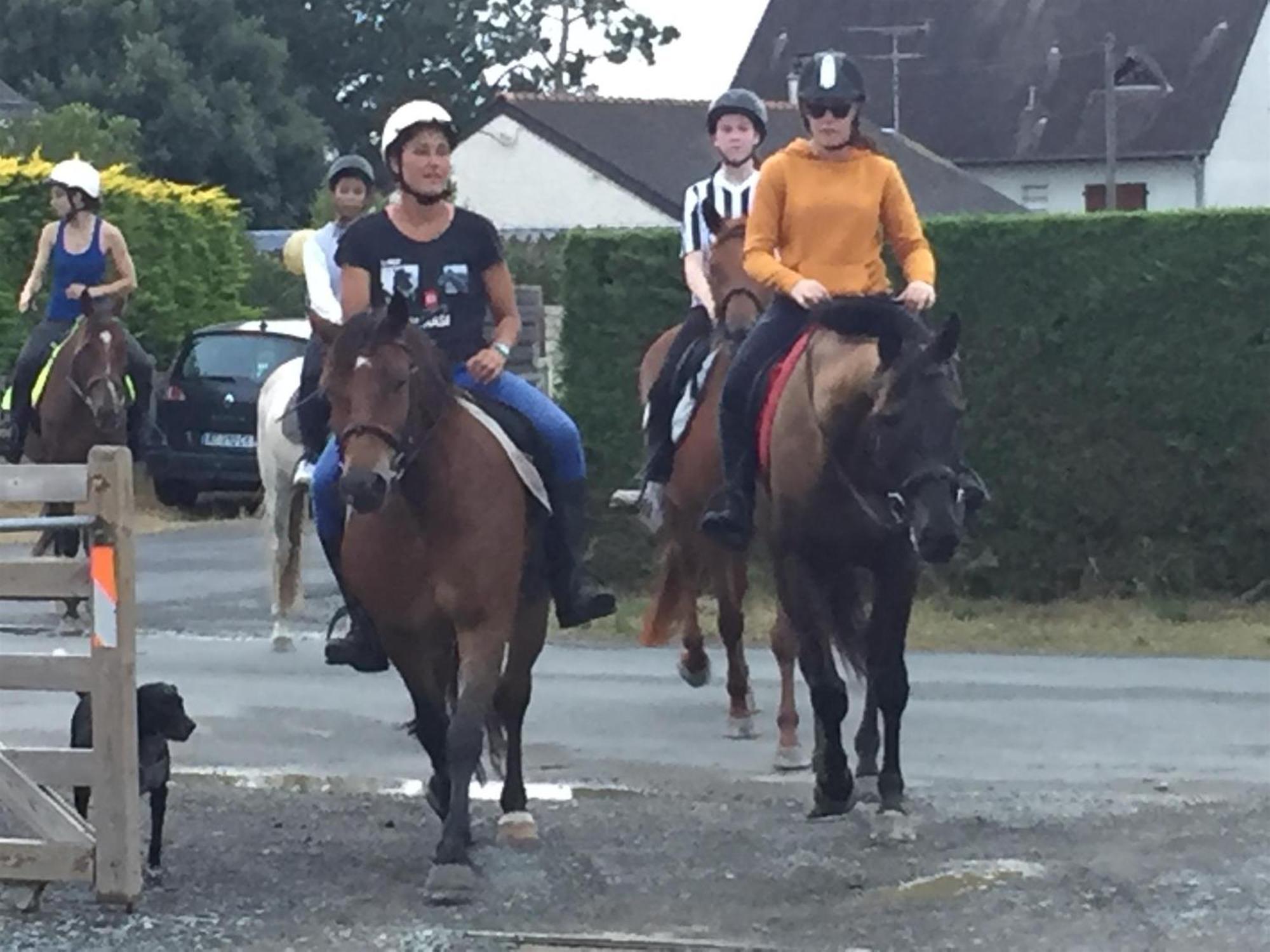 Decouverte D'Un Haras Proche Du Mont St Michel Hambye ภายนอก รูปภาพ