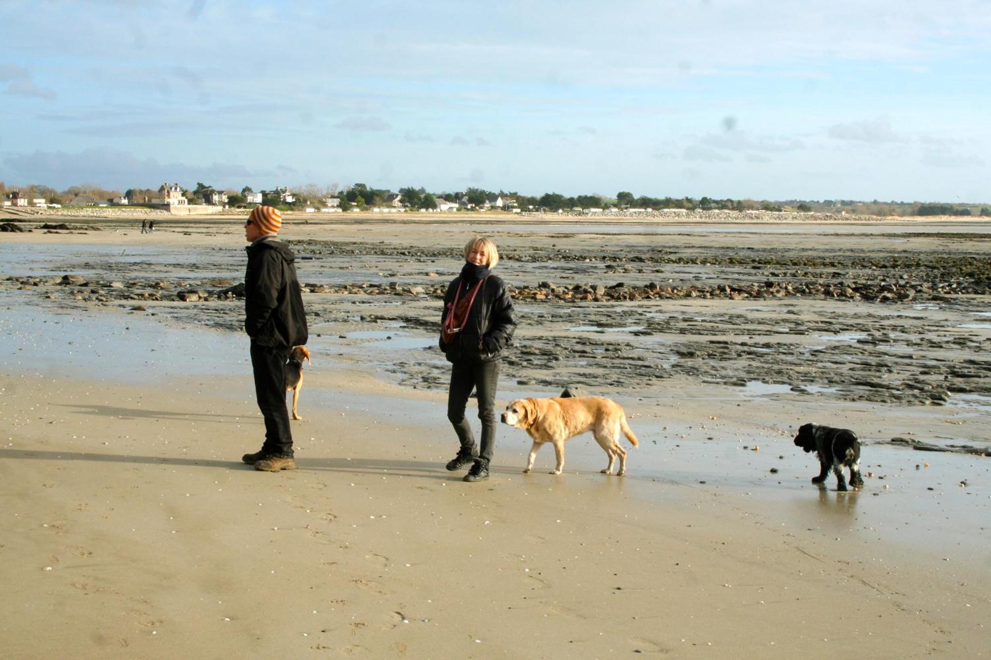 Decouverte D'Un Haras Proche Du Mont St Michel Hambye ภายนอก รูปภาพ